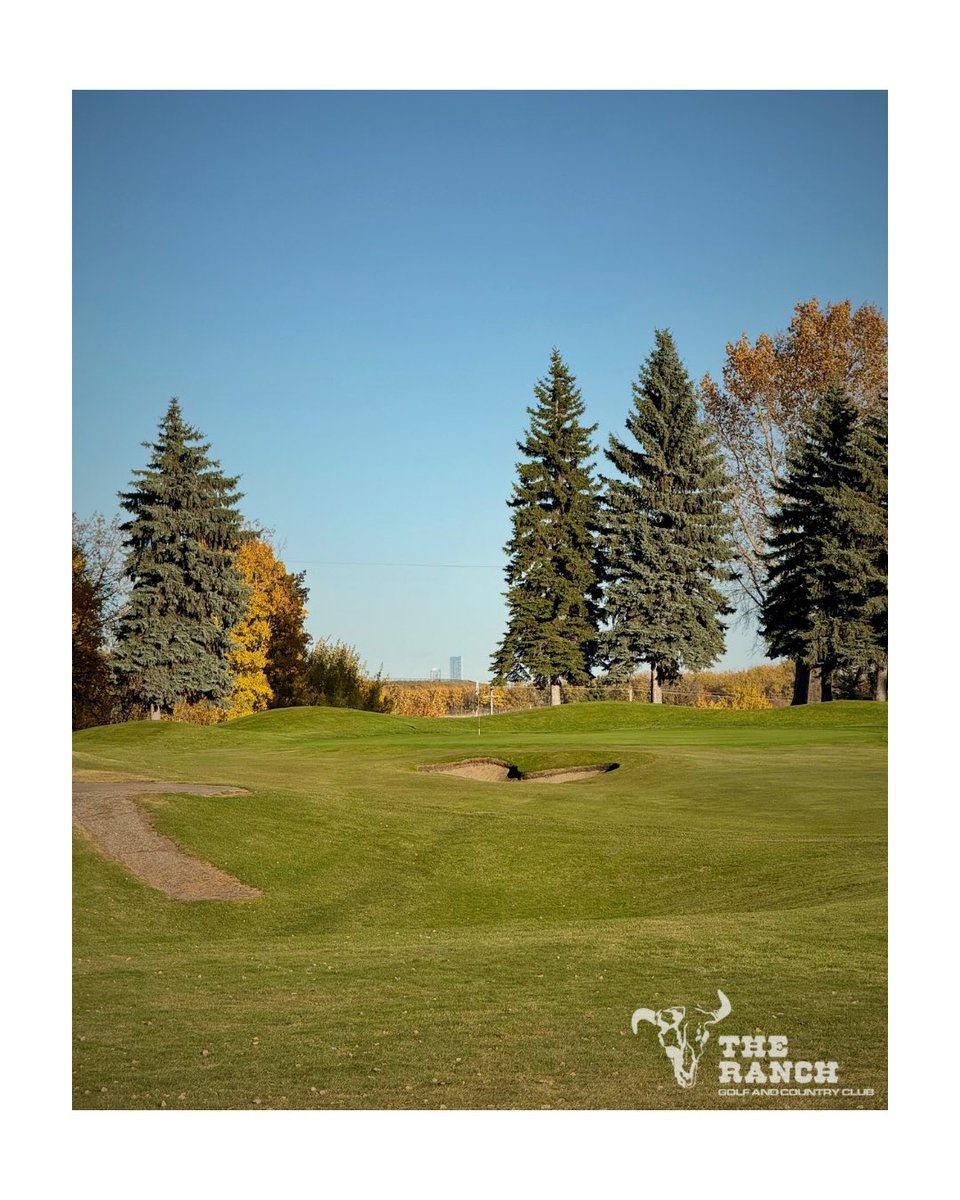 ranchgolfcourse's tweet photo. We LOVED today, did you?? ๐ ๐
#TheRanchGolf #YEGgolf #AlbertaGolf #FallGolf https://t.co/OloeWX2hZJ