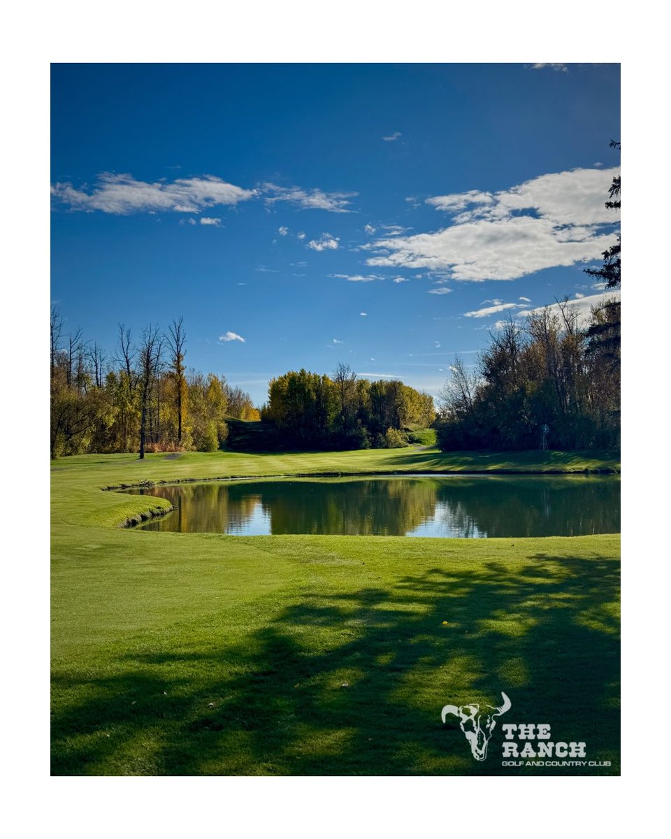 ranchgolfcourse's tweet photo. We LOVED today, did you?? ๐ ๐
#TheRanchGolf #YEGgolf #AlbertaGolf #FallGolf https://t.co/OloeWX2hZJ