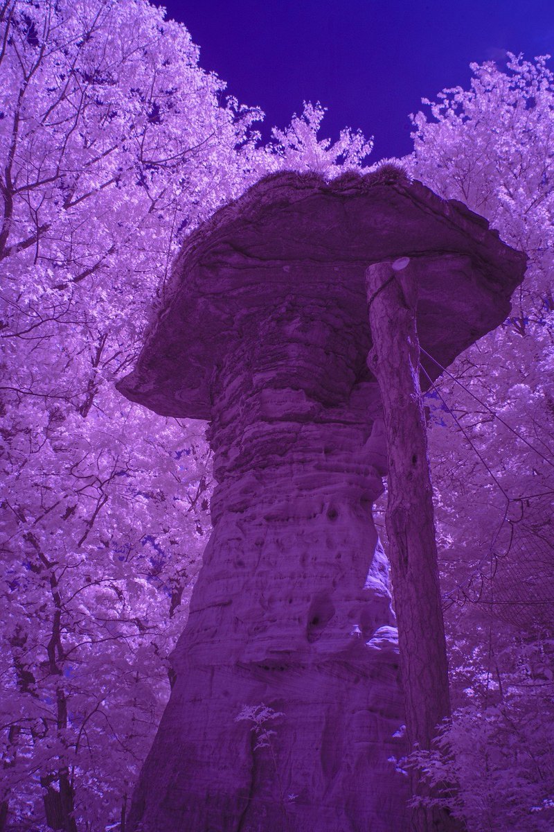 vintiga's tweet photo. Stand Rock in IR #flickr #StandRock #WisconsinDells #WisconsinDellsWisconsin #Wisconsin #Converted #ConvertCamera #ConvertedIR #Infrared #IR #IRCamera #IRPhotography #InfraredPhotography #Outside #WalkAbout #PhotographyIsArt #PhotoOfTheDay #Black #Brown #Blue #Pink https://t.co/HnEg4ytioA