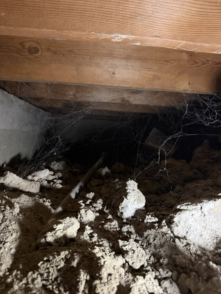pestctrlguy's tweet photo. All my guys are booked. 

Hopped in a few crawlspaces and did some termite work with my partner the last two days. 

$8400 in revenue - rough math 85% net. 

Dirty dirty work but the board man gets paid. https://t.co/p2HDEpTxQz