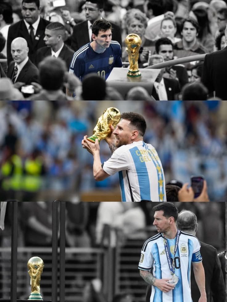 D6domessi tweet picture