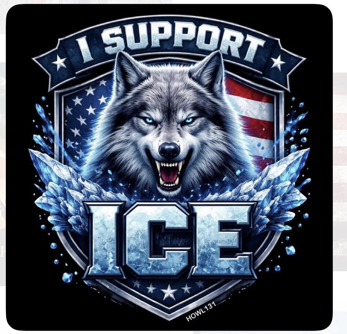 ripley3405's tweet photo. @MrWhiplash_ God Bless ICE https://t.co/pjhcV6pHKR