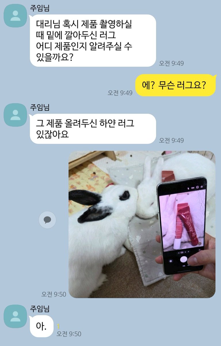 savethebunnies_'s tweet photo. 러그가 아니고요 https://t.co/6sUqv8BzjD