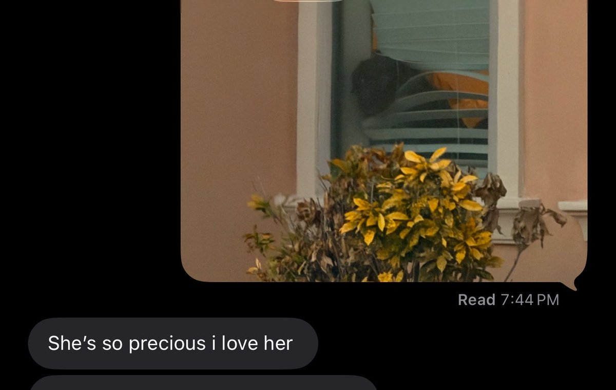 mxvasx's tweet photo. i love my neighbors dog https://t.co/27g5SXrNfB