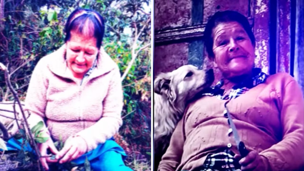 MerGarza's tweet photo. Blanca Pardo tenía 72 años, y apareció con signos de violación y brutal violencia en un potrero en Nariña, Colombia. Nunca fue la ropa, nunca fue que andábamos por la calle por la noche, nunca fue más que hombres violadores sintiéndose con el derecho. 

Doña Blanca murrio 2 días después de ser encontrada.

#JusticiaParaRenataPalmerPardo