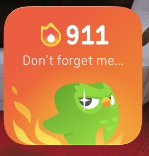 Smort_YT's tweet photo. @duolingo hey so this happened https://t.co/ZvMedruuVA