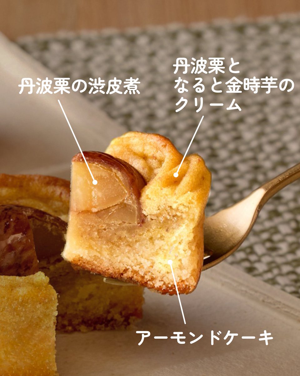 ntdshop's tweet photo. 【丹波栗の焼きモンブラン】
丹波本店限定で販売していた「丹波栗の焼きモンブラン」が、ご好評につき、中島大祥堂各店舗・オンラインショップでもお買い求めいただけるようになりました🌰

丹波栗となると金時芋のクリームと、香ばしいアーモンドケーキを二層に重ね、その上に丹波栗の渋皮煮を贅沢にトッピング。
しっとりと焼き上げることで、栗とさつまいものやさしい甘み、アーモンドの香ばしさを一度にお楽しみいただける味わいに仕上げています🍁

ご自宅でのおやつにはもちろん、お手土産にもぜひご利用くださいませ✨
オンラインショップからでもお買い求めいただけます🛒

＜販売店舗＞
中島大祥堂 各店舗、オンラインショップ

#中島大祥堂 #モンブラン #栗 #手土産 #ギフト