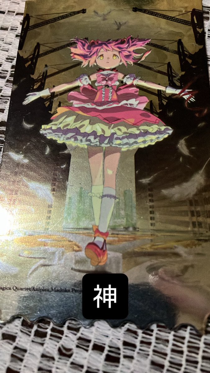 Dozen__ tweet picture