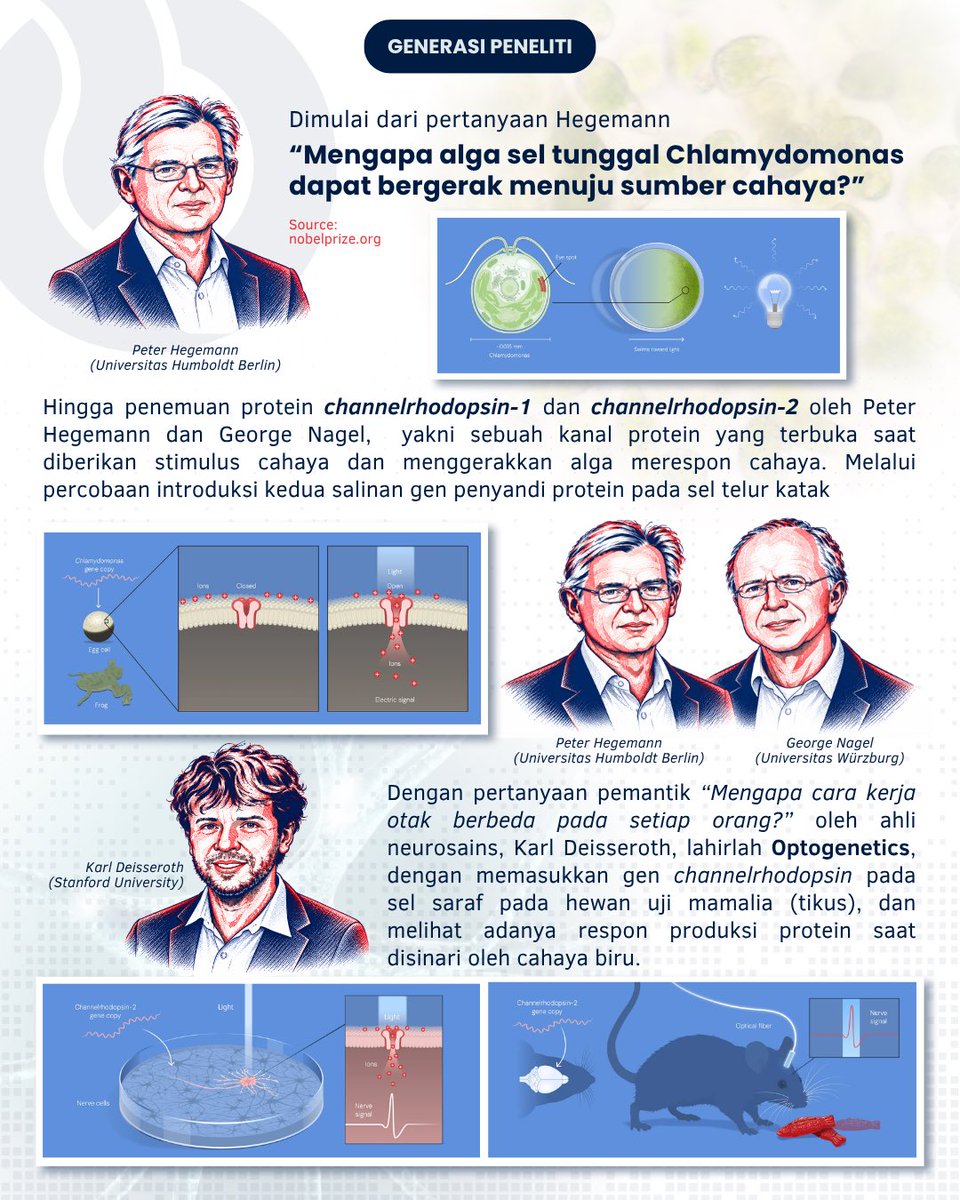 GenPeneliti_'s tweet photo. BREAKING NEWS!! 
Penemuan OPTOGENETICS Menangkan Nobel 🏆

Penghargaan Nobel tahun 2026 di bidang Fisiologi atau Kedokteran dianugerahkan kepada Karl Deisseroth, Peter Hegemann, dan Georg Nagel untuk penemuan dan pengembangan Optogenetika! 🎉

#Nobel2026 #Optogenetika #Kedokteran https://t.co/ViBi0SDDz1