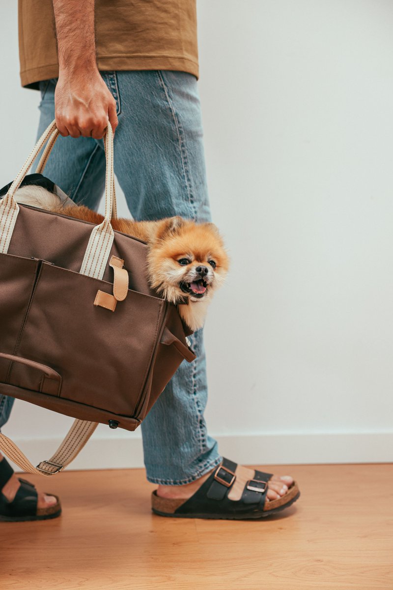 empirepups's tweet photo. 🎄🐶 #Holiday Visits Are Better With Your Best Friend! ❤️

Pack the #presents, and bring your #pup along for the #holiday fun! 🎁✨ #Cozy and comfortable in their #carrier. Making holiday memories.🎄

Shop at https://t.co/HLpyxRlf7V for all carriers and holiday gifts https://t.co/n9j1WzsXV6