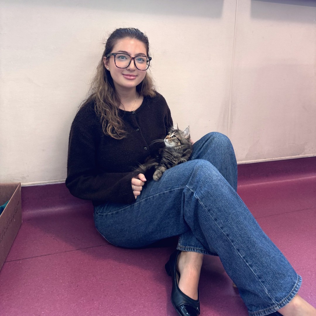 PeninsulaHumane's tweet photo. Missy May met her match! 🩷 From a shy girl who stayed tucked away, she finally came out of her shell once she met the one. Happy tails!
#phsspca #adopted #adoptdontshop https://t.co/afGmhd1CzR