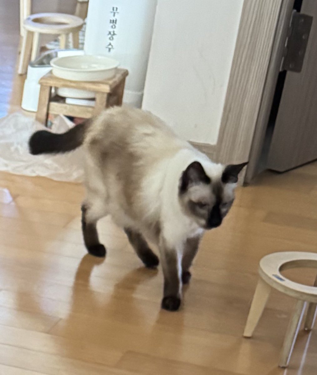 doona_and_minzy's tweet photo. 밥 먹고 아무 생각이 없음 https://t.co/raQa83rq1Q
