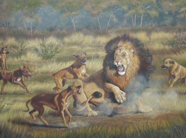 Urart3's tweet photo. Puppy play but instead of fucking I get used to bait large apex predators https://t.co/rwZYTtg1YB