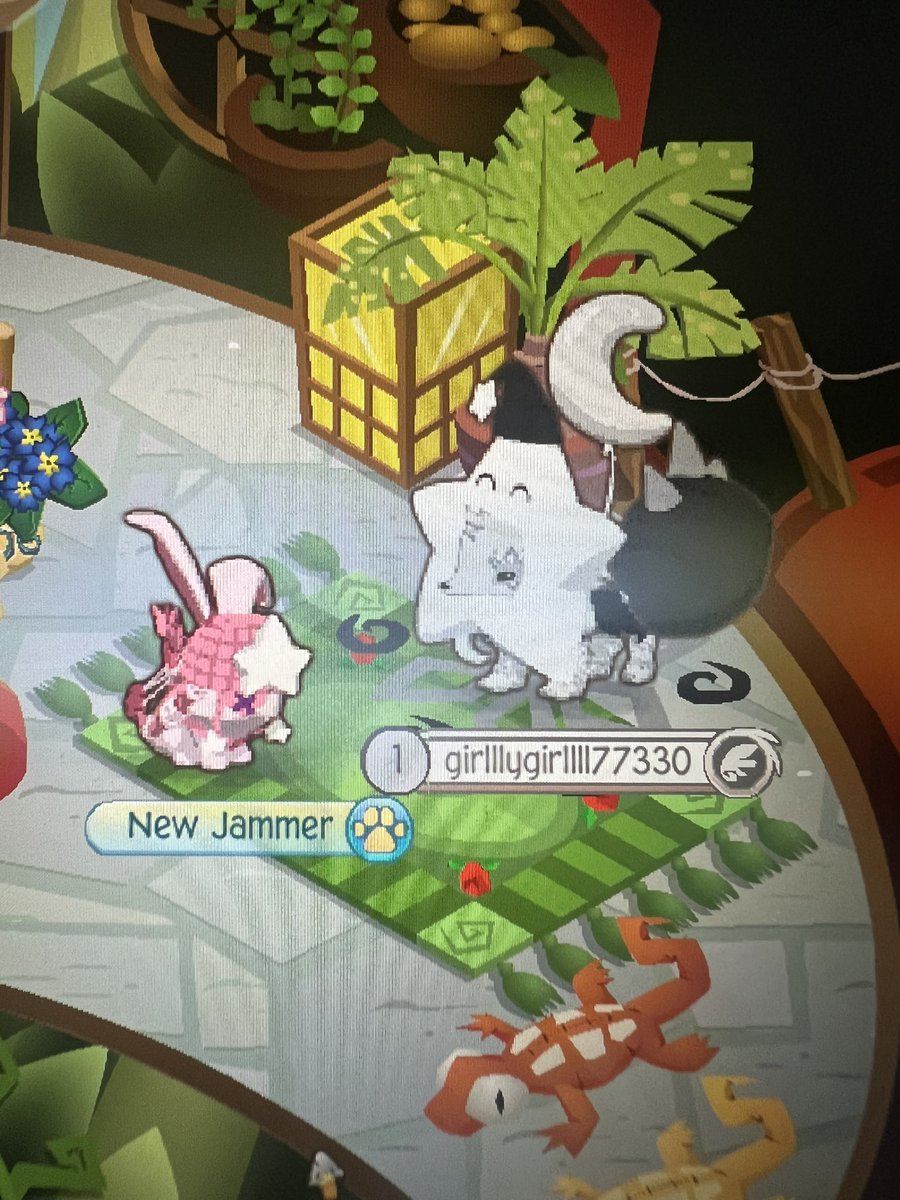 virtualpersocom's tweet photo. My friend rlly wanted to show me her little animal jam and look how cutie r u kidding…

#animaljam https://t.co/6amFPCwnX2