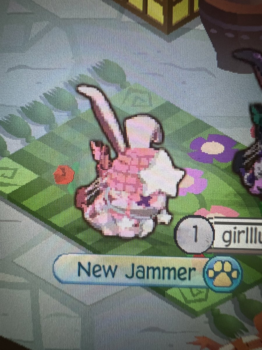 virtualpersocom's tweet photo. My friend rlly wanted to show me her little animal jam and look how cutie r u kidding…

#animaljam https://t.co/6amFPCwnX2
