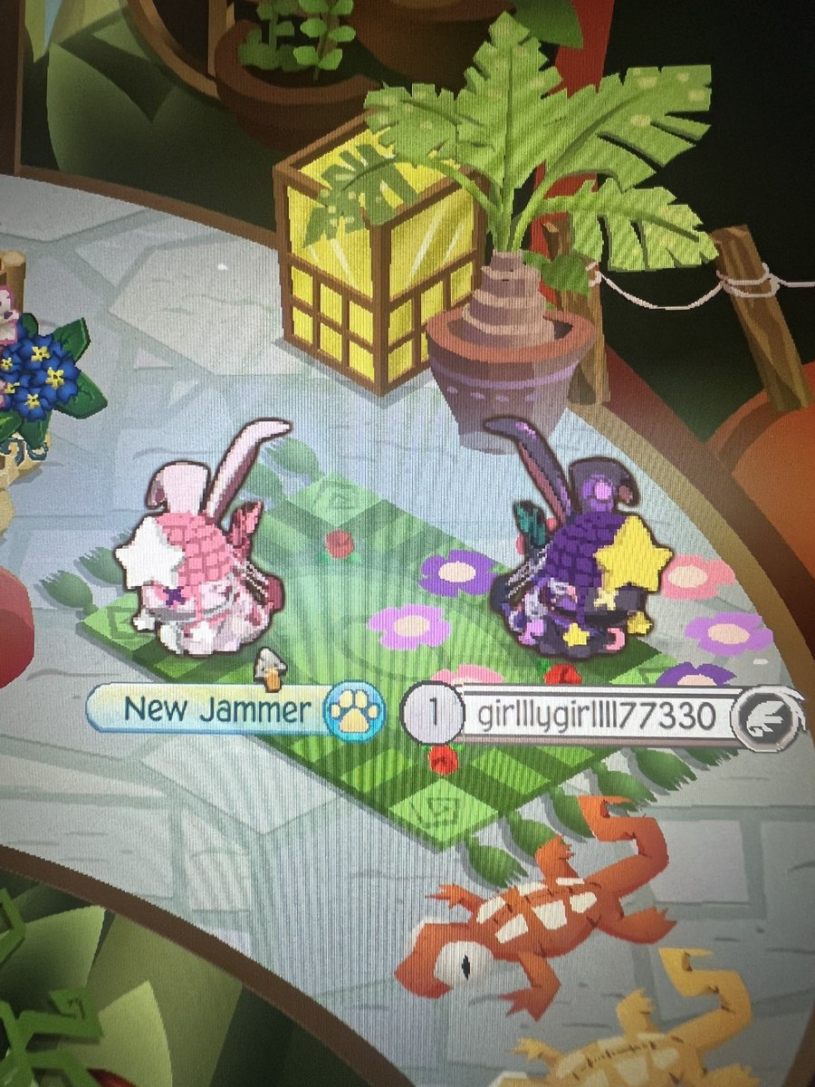 virtualpersocom's tweet photo. My friend rlly wanted to show me her little animal jam and look how cutie r u kidding…

#animaljam https://t.co/6amFPCwnX2