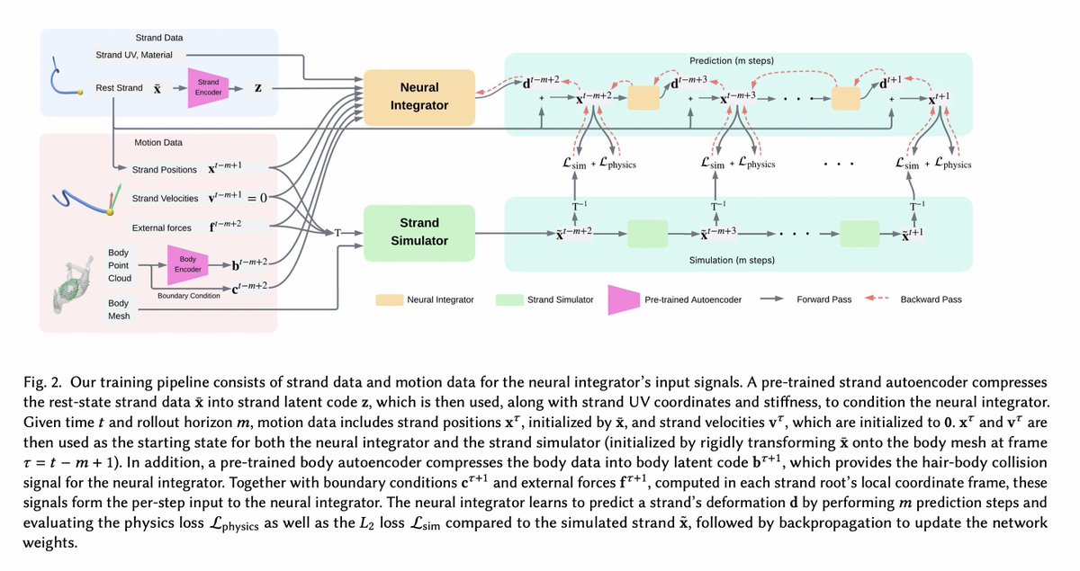 ssh4net's tweet photo. Neuroll: Real-Time Neural Strand-Based Hair Simulation via Simulator-in-the-Loop Unrolling

Gene Wei-Chin Lin, Jessica Jia-En Lee, Yu Ju (Edwin)Chen, Egor Larionov, Tuur Stuyck

https://t.co/nHE9wGazX9

Abstract:
Time integration has been the cornerstone of physics-based animation that enables the simulation of complex interactions between rigid and deformable objects, including the motion of hair. Despite recent advances with optimized time integration that enabled thousands of hair strands to be simulated in real time, achieving the same performance on commodity hardware remains infeasible due to the computational demands of resolving complex dynamics and interactions between thousands of individual strands. With the rise of learning-based techniques, the offload of time integration to neural networks helps to achieve significant performance gains, making these approaches suitable for real-time applications such as gaming and virtual avatars. However, state-of-the-art neural techniques tend to produce less physically plausible motion and oftentimes fail to generalize to out-of-distribution scenarios. Inspired by classical time integrators, we design a neural counterpart that mirrors their input-output formulation -- taking previous hair states, material stiffness, and collision geometry as the inputs for the neural time integrator, which is then trained via a self-supervised, simulator-in-the-loop method with randomized unrolling horizons. By formulating training in each strand's local coordinate frame, we obtain a network that generalizes across multiple dimensions, including hairstyle, material property, body motion, and body type. Our method inherits the benefits of a strand-based neural simulator, and hence is density-independent, lightweight, memory-efficient, and performant. Our neural hair integrator produces stable long-horizon rollouts and can be naturally extended to support quasi-static simulation simply by resetting hair states.