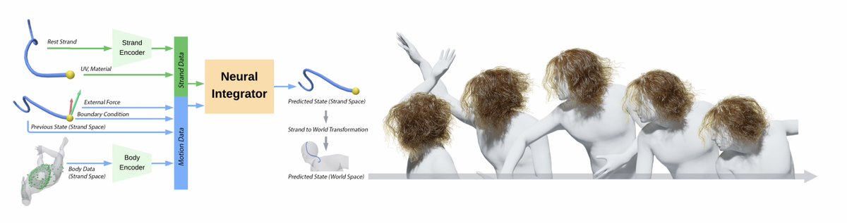 ssh4net's tweet photo. Neuroll: Real-Time Neural Strand-Based Hair Simulation via Simulator-in-the-Loop Unrolling

Gene Wei-Chin Lin, Jessica Jia-En Lee, Yu Ju (Edwin)Chen, Egor Larionov, Tuur Stuyck

https://t.co/nHE9wGazX9

Abstract:
Time integration has been the cornerstone of physics-based animation that enables the simulation of complex interactions between rigid and deformable objects, including the motion of hair. Despite recent advances with optimized time integration that enabled thousands of hair strands to be simulated in real time, achieving the same performance on commodity hardware remains infeasible due to the computational demands of resolving complex dynamics and interactions between thousands of individual strands. With the rise of learning-based techniques, the offload of time integration to neural networks helps to achieve significant performance gains, making these approaches suitable for real-time applications such as gaming and virtual avatars. However, state-of-the-art neural techniques tend to produce less physically plausible motion and oftentimes fail to generalize to out-of-distribution scenarios. Inspired by classical time integrators, we design a neural counterpart that mirrors their input-output formulation -- taking previous hair states, material stiffness, and collision geometry as the inputs for the neural time integrator, which is then trained via a self-supervised, simulator-in-the-loop method with randomized unrolling horizons. By formulating training in each strand's local coordinate frame, we obtain a network that generalizes across multiple dimensions, including hairstyle, material property, body motion, and body type. Our method inherits the benefits of a strand-based neural simulator, and hence is density-independent, lightweight, memory-efficient, and performant. Our neural hair integrator produces stable long-horizon rollouts and can be naturally extended to support quasi-static simulation simply by resetting hair states.