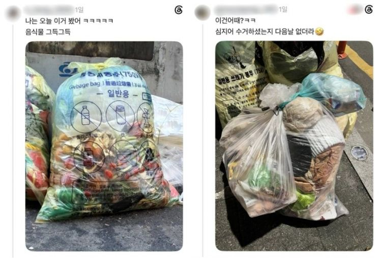 sozoogirl's tweet photo. 쓰레기봉투 좀 사지...
이런 민폐 쓰레기 배출 하는 사람 은근 많죠? 

일반쓰레기에 음식물 같이 버린다던다 그런 얌체들..
다 벌금내야할 것 같네요~

기사원문 https://t.co/ufuvOcoKEA https://t.co/gED1o4gCOe