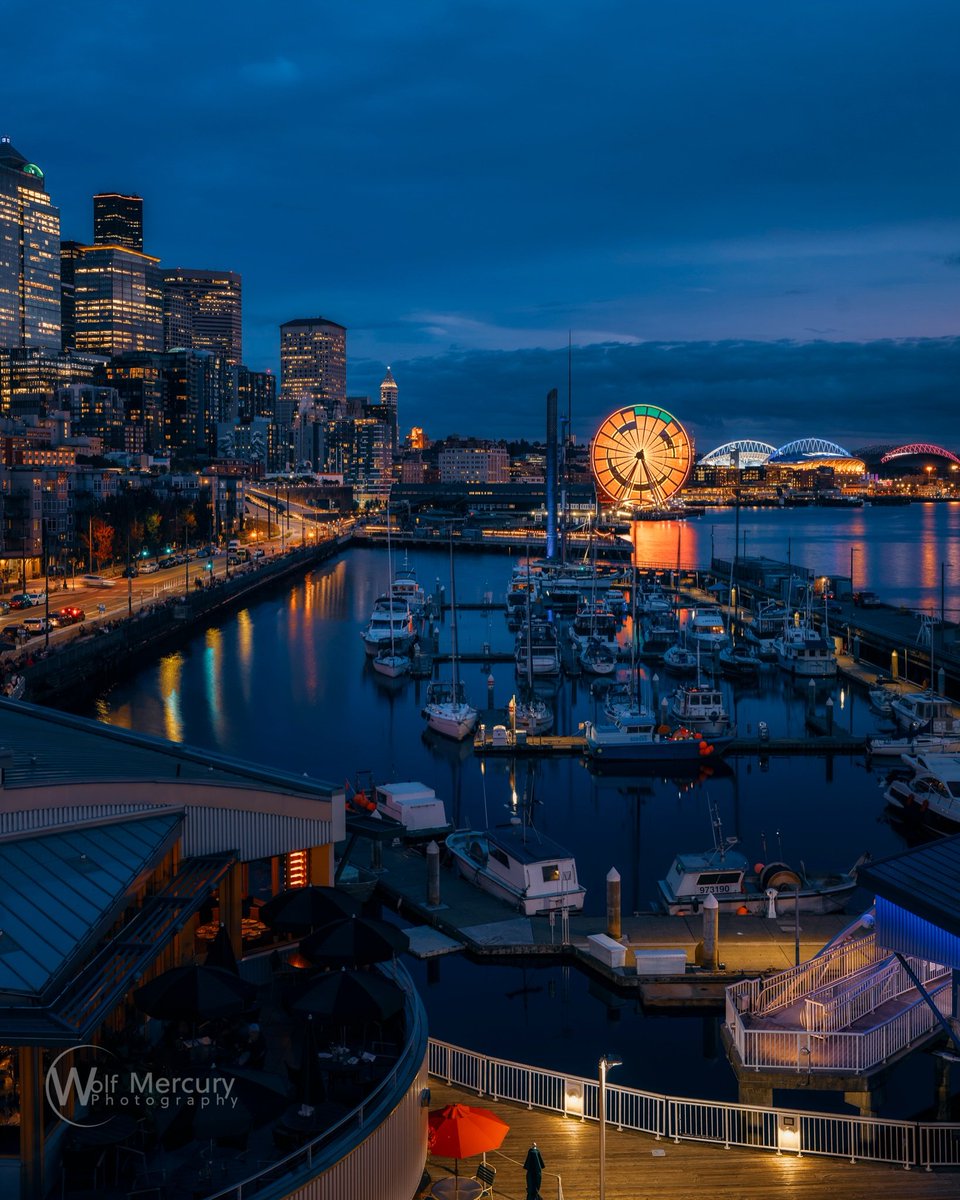 NatureRoot88's tweet photo. Washington Seattle https://t.co/mgykrf8WE9