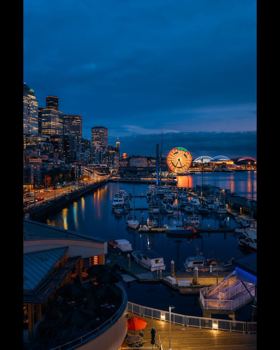 NatureRoot88's tweet photo. Washington Seattle https://t.co/mgykrf8WE9