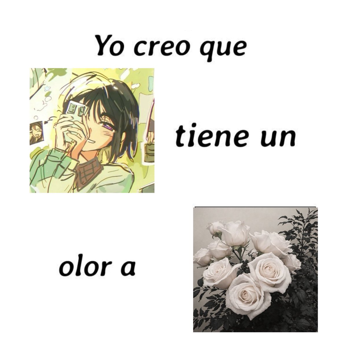 mattyelvsl's tweet photo. @_yhadi__ (rosas blancas) https://t.co/DnAzw0Ml06