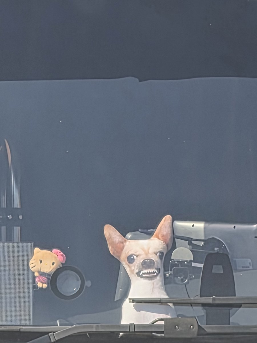 janh9365's tweet photo. 오늘도 출근했죠 아직하루더남아있죠  벌써 퇴근하고싶어지네요 https://t.co/FFu9WRKhSZ