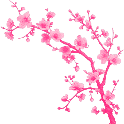 blossomheals's tweet photo. ‍ ‍ ‍ ‍ ‍ ‍ ‍ ‍ ‍ ‍ ‍ ‍ ‍ ‍ ‍ ‍ ‍ ‍ ‍ ‍ ‍ ‍ ‍ ‍ ‍ ‍ ‍ ‍ https://t.co/bCnmBAot08