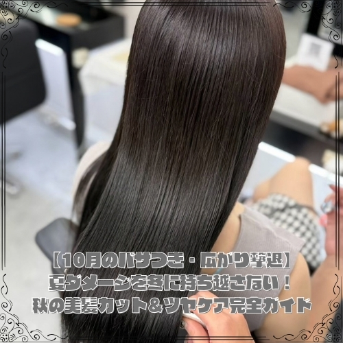 ALPHA_SALON_'s tweet photo. ツヤ髪完全ガイド！！

https://t.co/w8Lpu1SXEv https://t.co/nqRuTvol1L