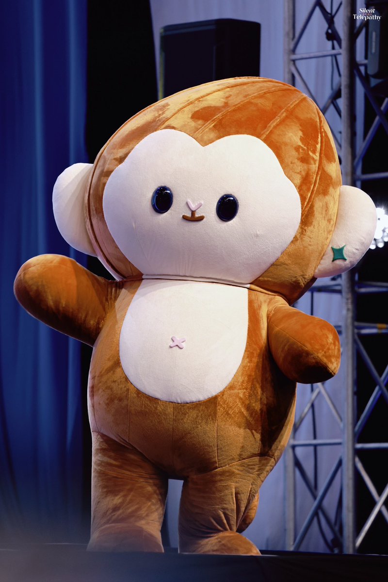 ssnkittychann's tweet photo. ลิงตุวน้อยกำลังแอบมองพวกเทอ 🐵👀💗 https://t.co/QJZLzaYhZ6