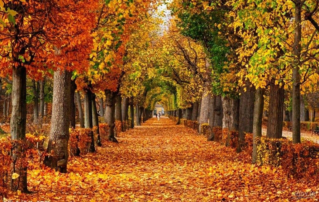 SoMaryam2's tweet photo. عاشقانه هایم برای تو یا صاحب الزمان 

اللهم عجل لولیک الفرج 🤲 https://t.co/vOR8bpJJgA