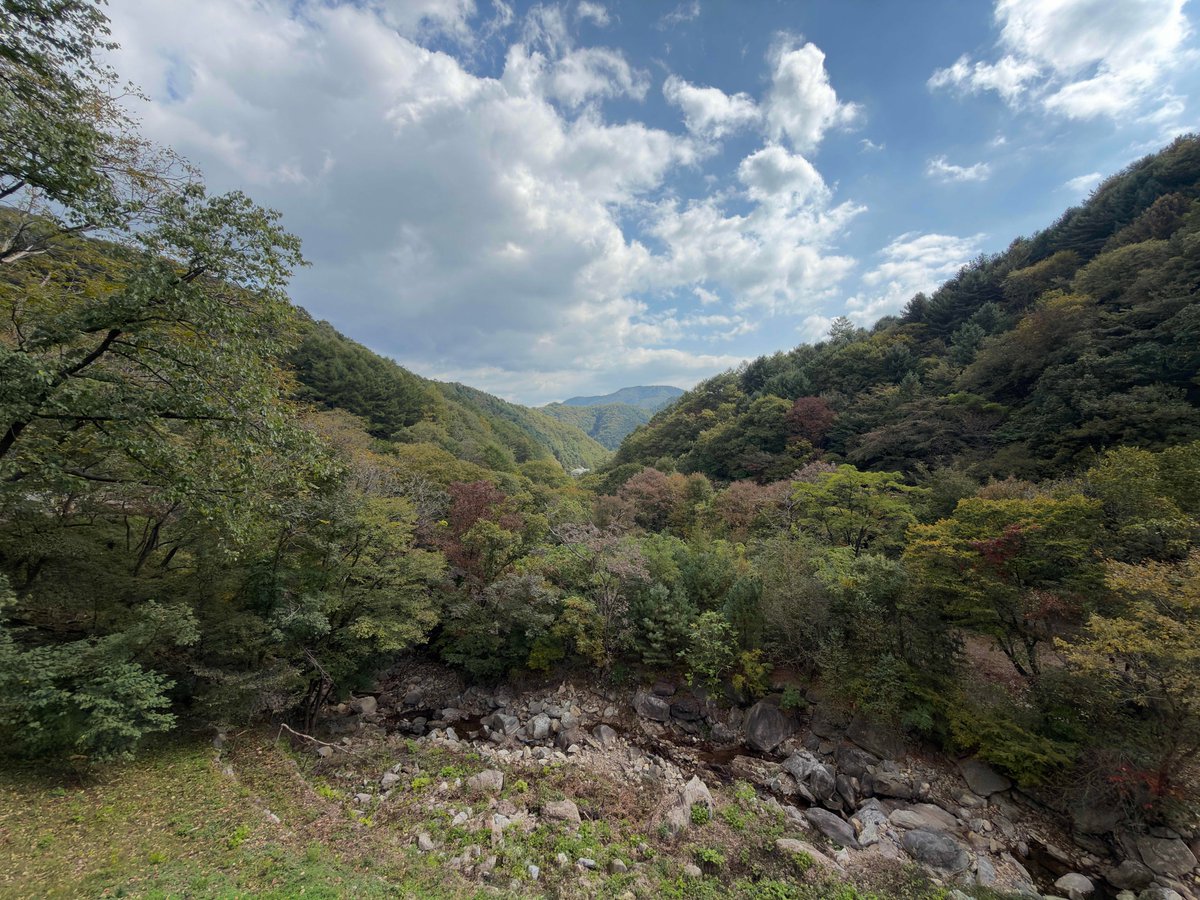 ald1_place's tweet photo. 261005 상원 플챗 

📍 이상원미술관 
강원 춘천시 사북면 화악지암길 99 https://t.co/hlwYCB8CAy