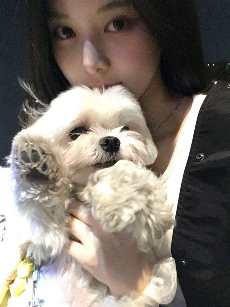 Cheers2Jeemin's tweet photo. Ini puppy aku o___o mana puppy kalian? https://t.co/rA1BR5Vv97