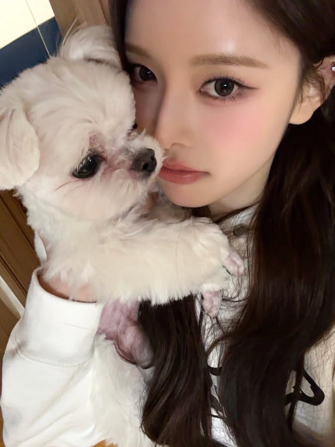 Cheers2Jeemin's tweet photo. Ini puppy aku o___o mana puppy kalian? https://t.co/rA1BR5Vv97