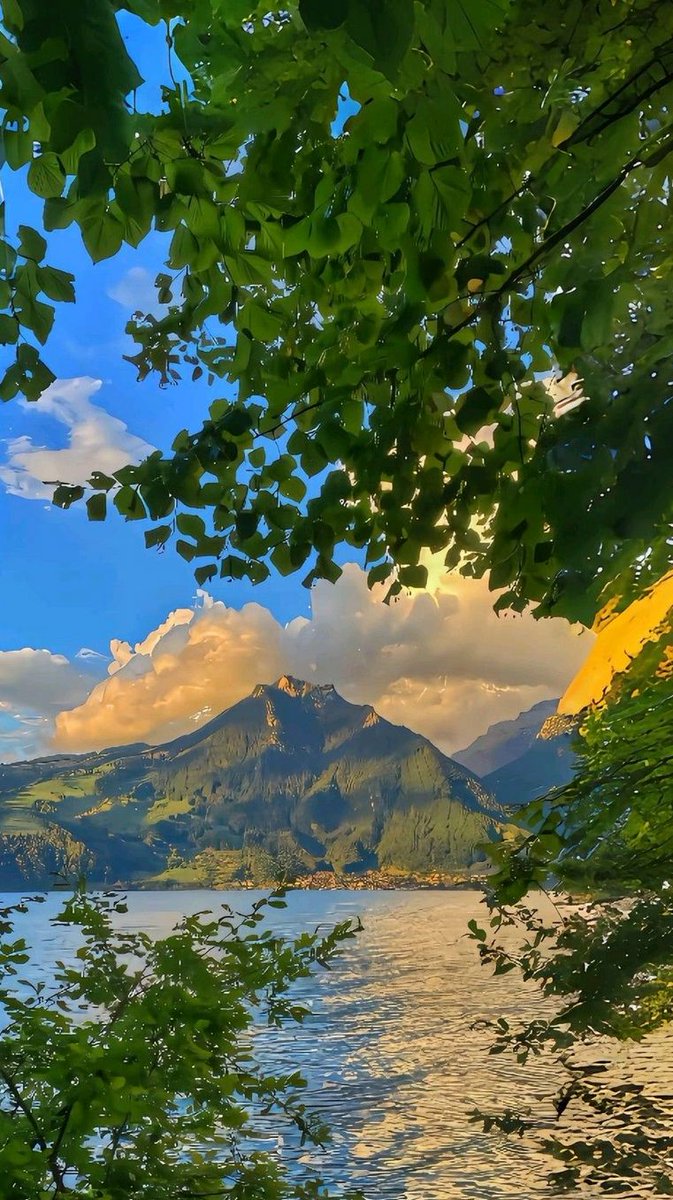 UnCapoDice_'s tweet photo. There's something about Vancouver that photos just can't capture. My calligraphy skills are slowly but surely improving https://t.co/rnNIe4WqNN