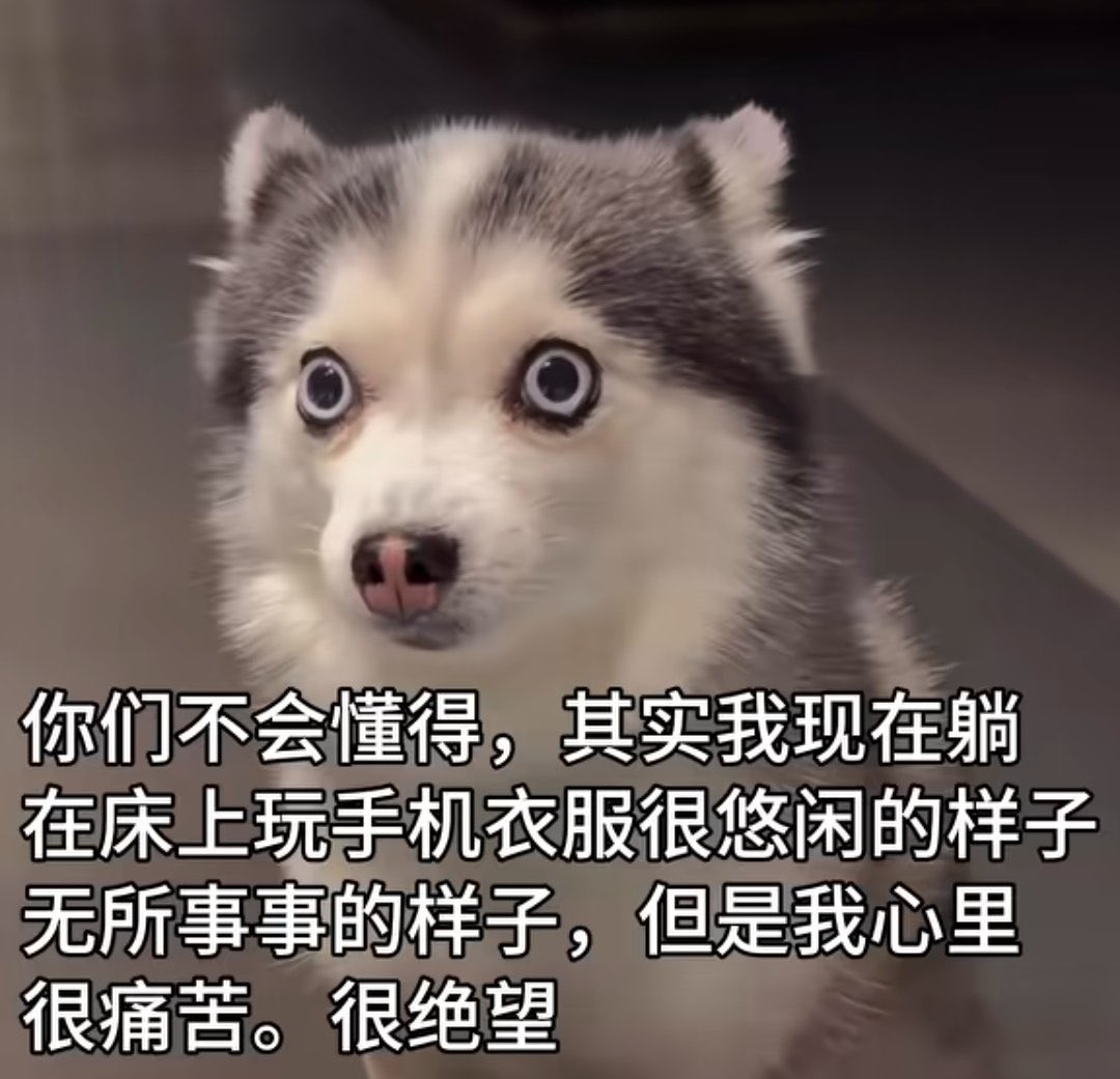YJunie___'s tweet photo. https://t.co/C52I81hmRI
