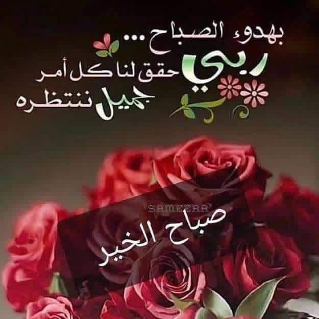 BBBSSSvvio's tweet photo. https://t.co/ENu4c2EFP8