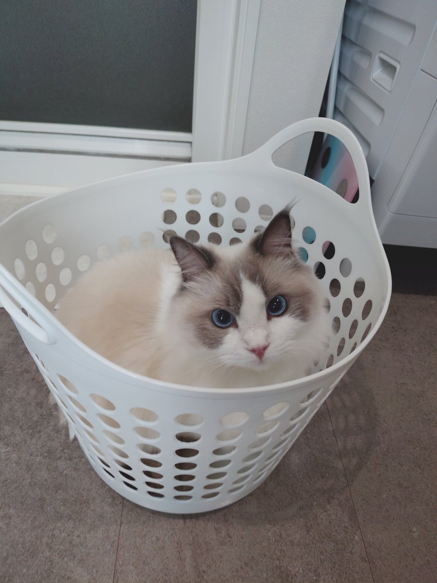 misosp's tweet photo. ああああああ

ああああああああ😻 https://t.co/r92FNqMLs6