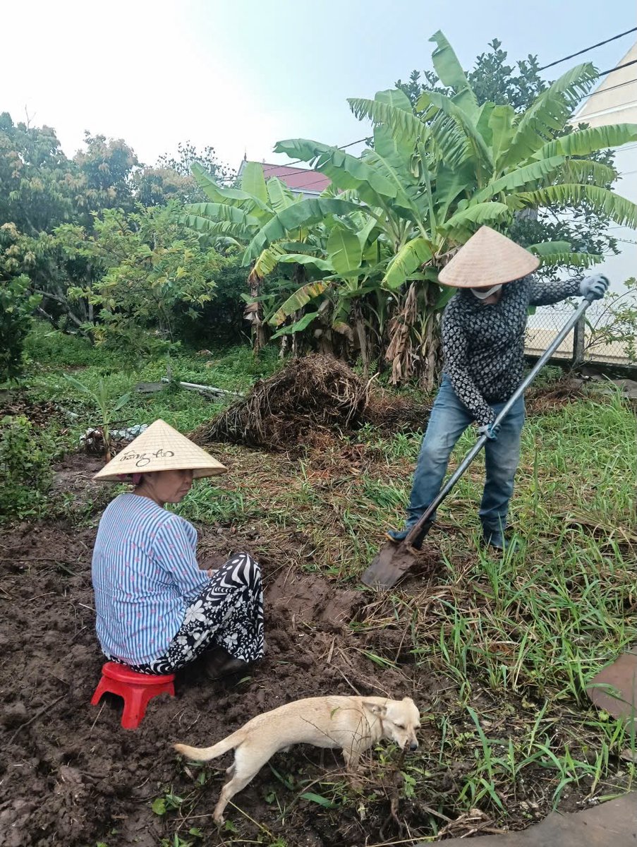 Rubyospinapadi1's tweet photo. Làm vườn hữu cơ cùng GBA Nature, hướng đến nông nghiệp xanh và bền vững. https://t.co/k7ROe2j0Js