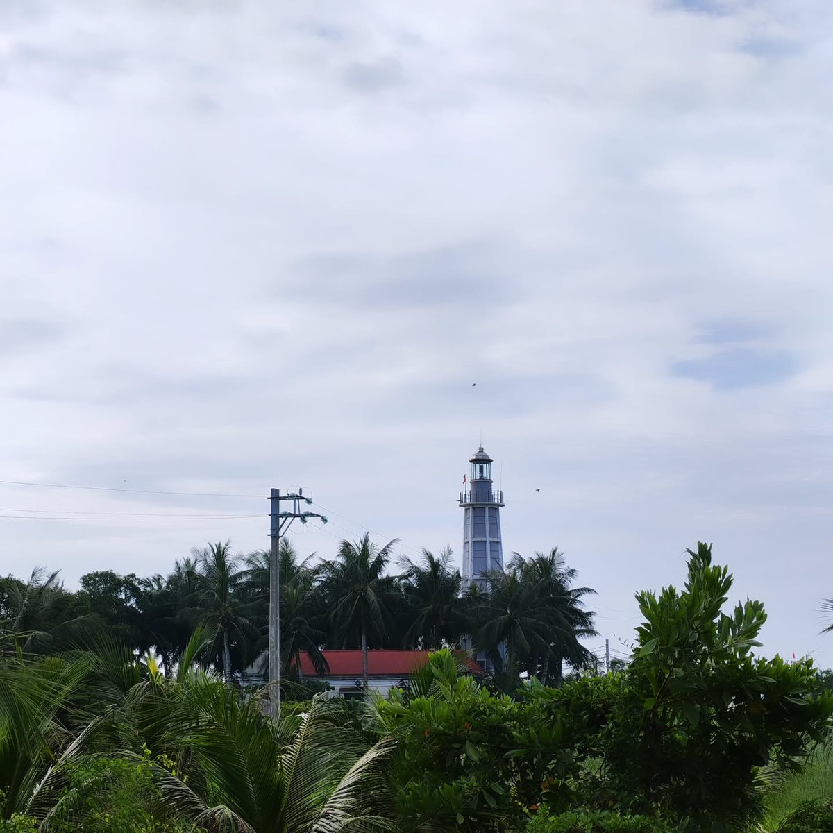 Nathaliaalfano's tweet photo. Anh yêu em Diêm Điền, rặng phi lao ru gió hát. Đèn biển Diêm Điền chỉ được ngắm từ xa, chưa thể vào tham quan. https://t.co/LUrTUewKaM