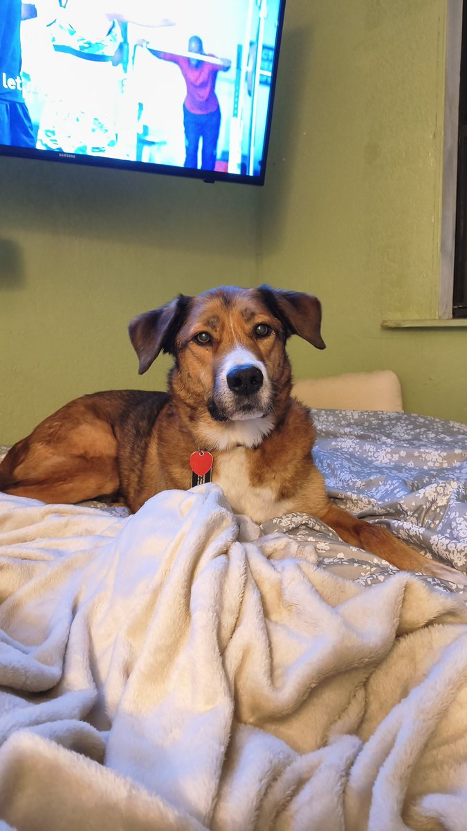 basil_aldwin's tweet photo. I don't give a fuck about your Twitter / VRchat / Furry drama, my best friend of 11 years was diagnosed with potential lung cancer and is actively dying.

Pray for us. https://t.co/4S2lA9Q1Qa