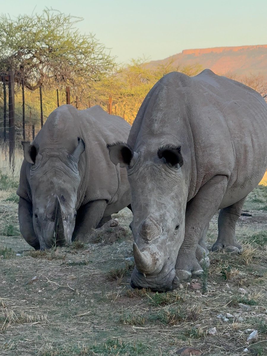 DEZA2007's tweet photo. Special moments in Namibia. https://t.co/IXgwXJfXZQ
