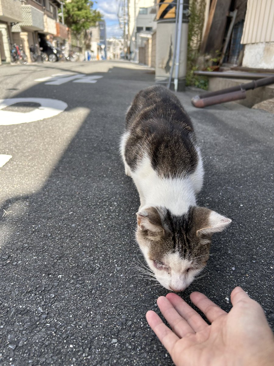 nilmoonie's tweet photo. そしたら！！
あああ😭✨✨ https://t.co/9boJGbih6L
