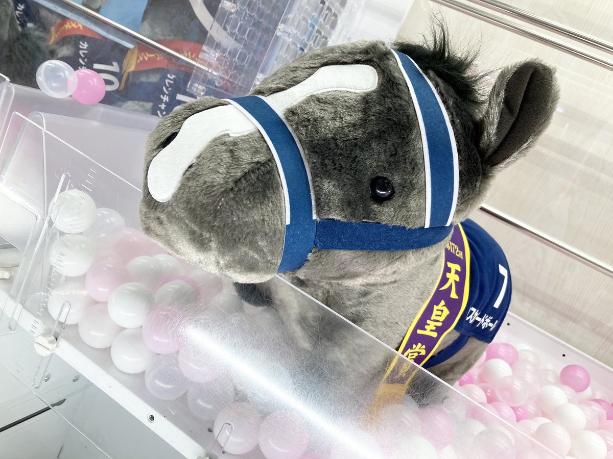 GiGO_Sendai1's tweet photo. 【✨本日入荷✨】

『サラブレッドコレクションふわふわＢＩＧ（マスカレードボール）』

入荷しました🎵
当店でお待ちしております🪄

#サラコレ
#GiGO仙台一番町 https://t.co/GjsBD7S9vB
