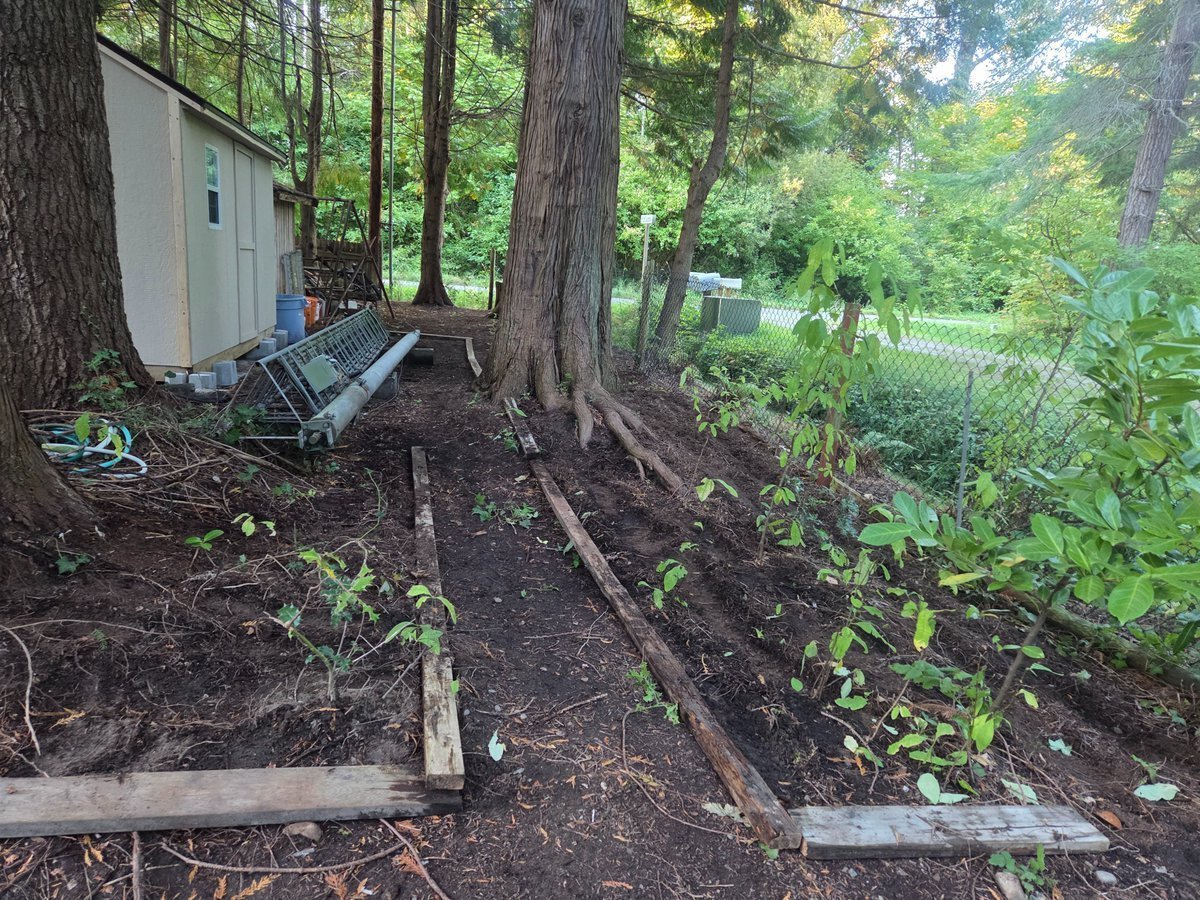 NYCARE_Wellness's tweet photo. "Building Small Spaces for Big Purpose"

This year, my husband, @Albert_Riopel has been building little new cottages or workshops in our Point Roberts 🇺🇸 & Lantzville 🇨🇦 properties. 

So far, these properties are looking good. The washrooms  just need some work. Both places have septic systems within the premises, but just need to be re-routed, installed, and attached to the cottage/workshop soon. 

Anyway, Albert & I (@EarlaRiopel) took a few photos of the recent developments in our Point Roberts 🇺🇸 & Lantzville 🇨🇦 properties. 

By the way, we'll be in Point Roberts 🇺🇸 next weekend. ^ ✍️ ER (@EarlaRiopel)