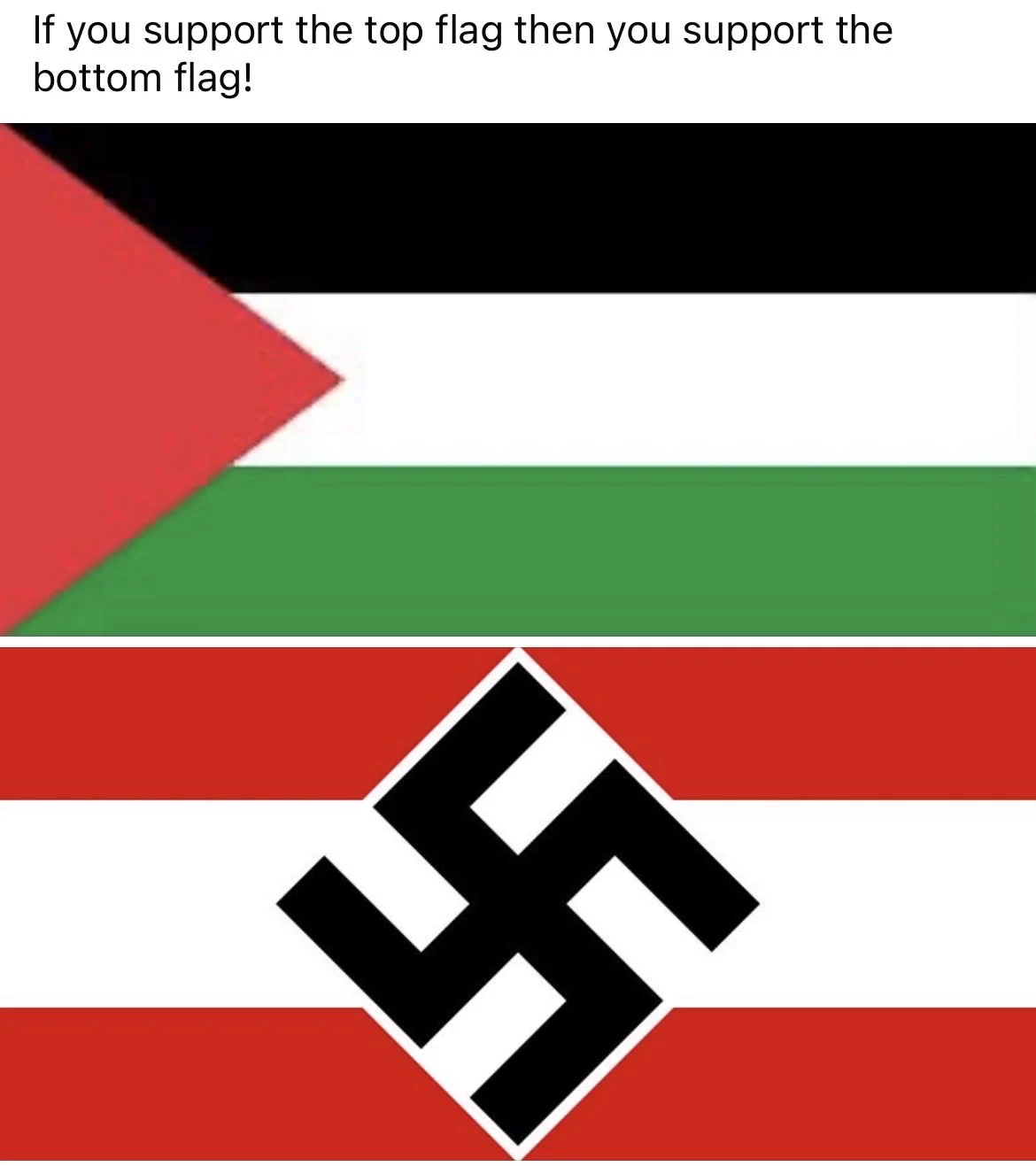 Michael Osterdal on X: "@bathelshoshana1 Different flag same hate" / X