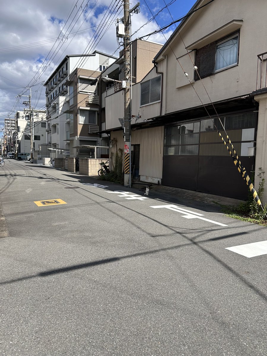 nilmoonie's tweet photo. やんのか見に行こうと思ったら、おる！
今日はこちらに？の のかちゃん https://t.co/8DjXB4o6Vv