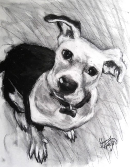 hat921's tweet photo. https://t.co/Pe2tAJnnc6
#art #artist #drawing #charcoal #pastels #animals #portraits #events #gallery #LDCC #fyp https://t.co/8IxVFAvDMl