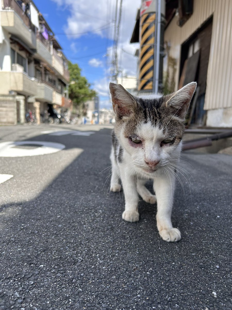 nilmoonie's tweet photo. まだ忘れてるかもしれないからだるまさんが転んだ並にジリジリゆっくり近づいたよ… https://t.co/gi8aRY6XxD