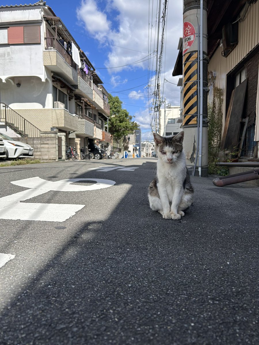 nilmoonie's tweet photo. まだ忘れてるかもしれないからだるまさんが転んだ並にジリジリゆっくり近づいたよ… https://t.co/gi8aRY6XxD